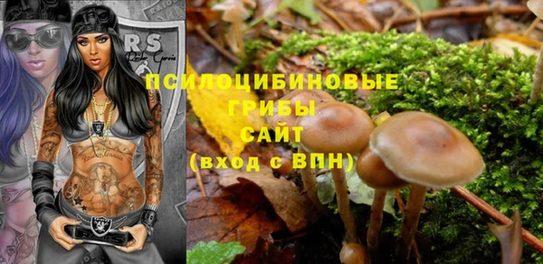 крисы Алзамай