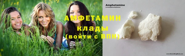 крисы Алзамай