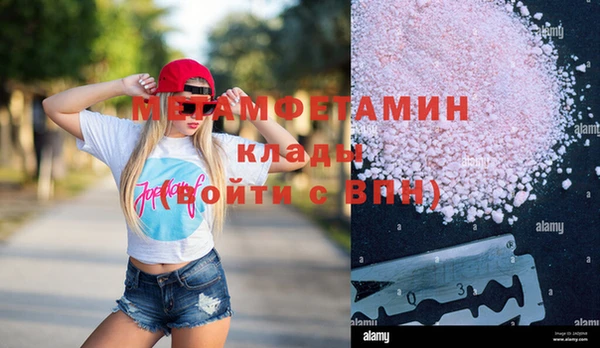 крисы Алзамай