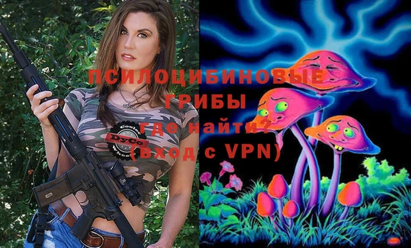 метамфетамин Алексин