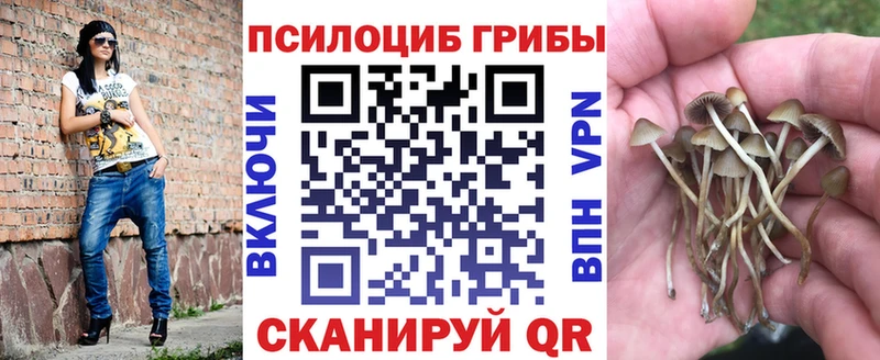 Галлюциногенные грибы мухоморы  Макушино 